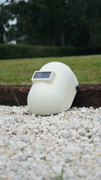 White Sugar scoop