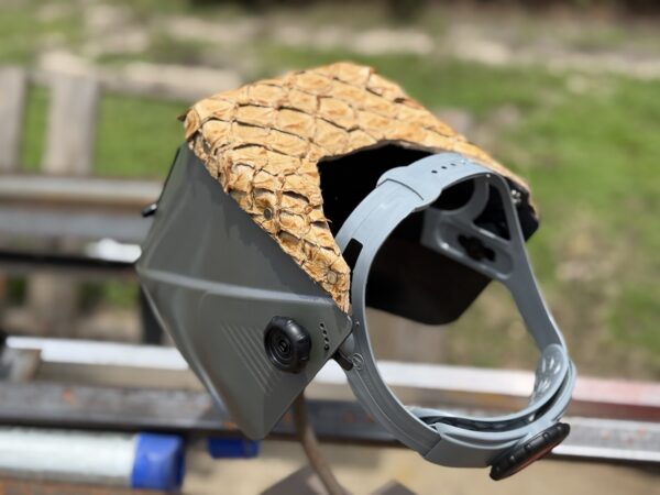 Pirarucu Top Jackson Futura - Image 3